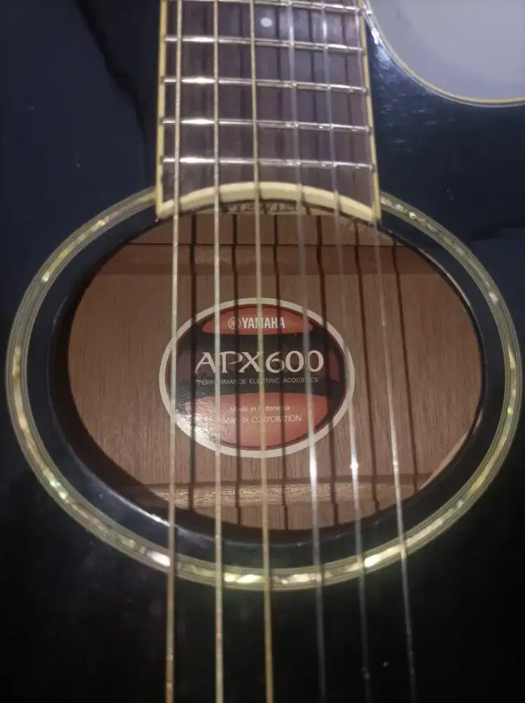 Yamaha apx600 original