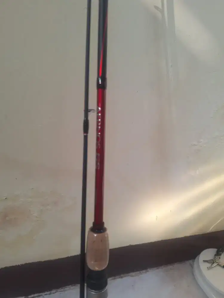 Joran shimano aernos gs