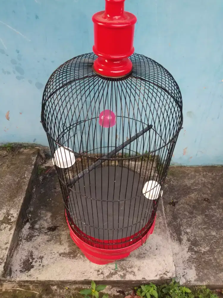 Sangkar burung Lovebird