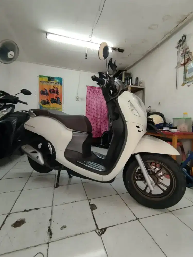 Honda Scoopy Tahun 2024 Kayles