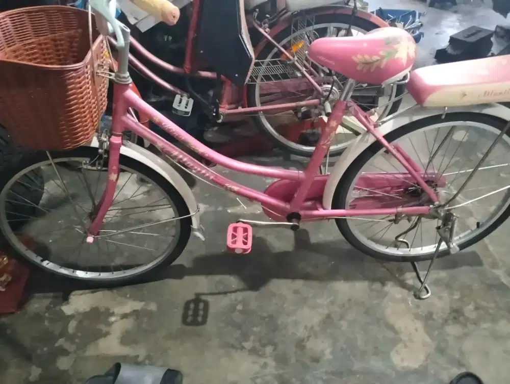 Sepeda keranjang wanita