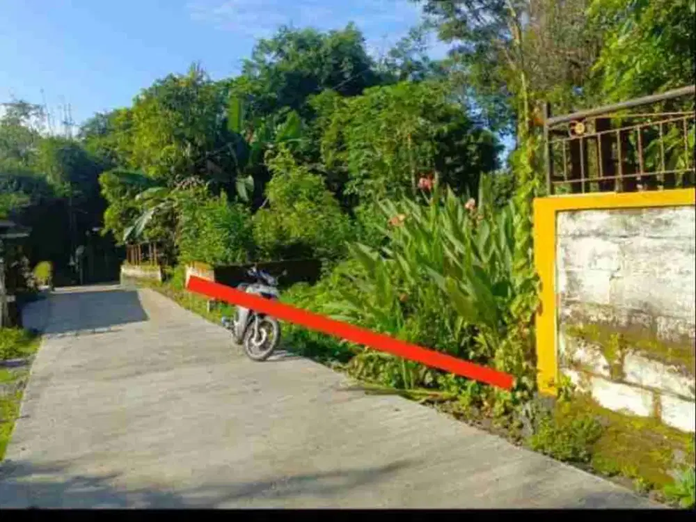 tanah cebongan mlati sleman yogyakarta