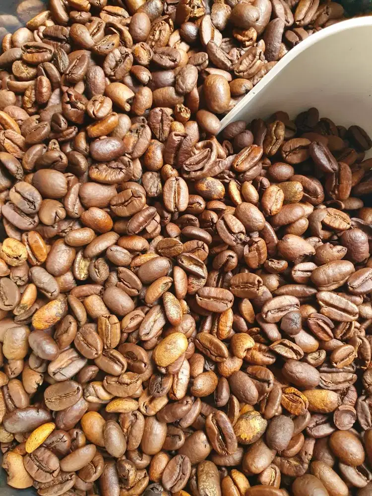 Bubuk Kopi Arabica dan Robusta Fresh