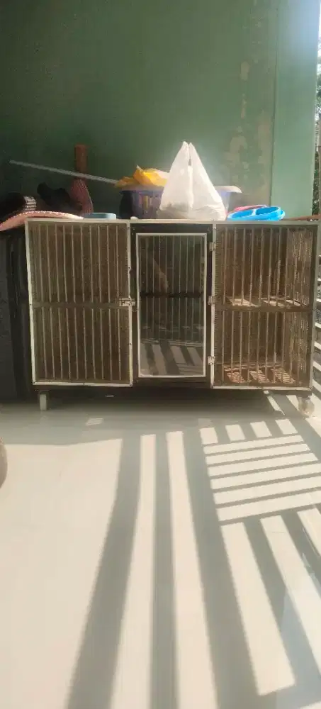 Kandang kucing bekas