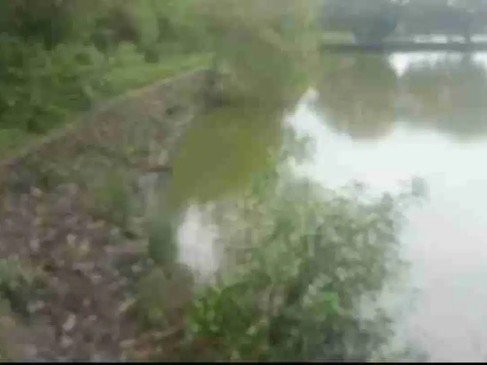 jual tanah tambak Murah poll harga bu di Medokan ayu Rungkut dkt gunung anyar Wonorejo