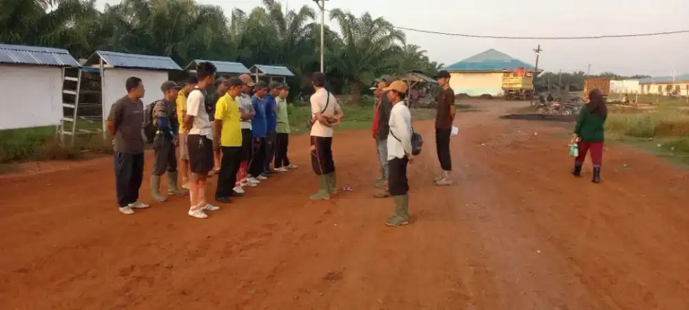 Dicari TK panen sekitaran Lampung, Palembang dan sekitarnya