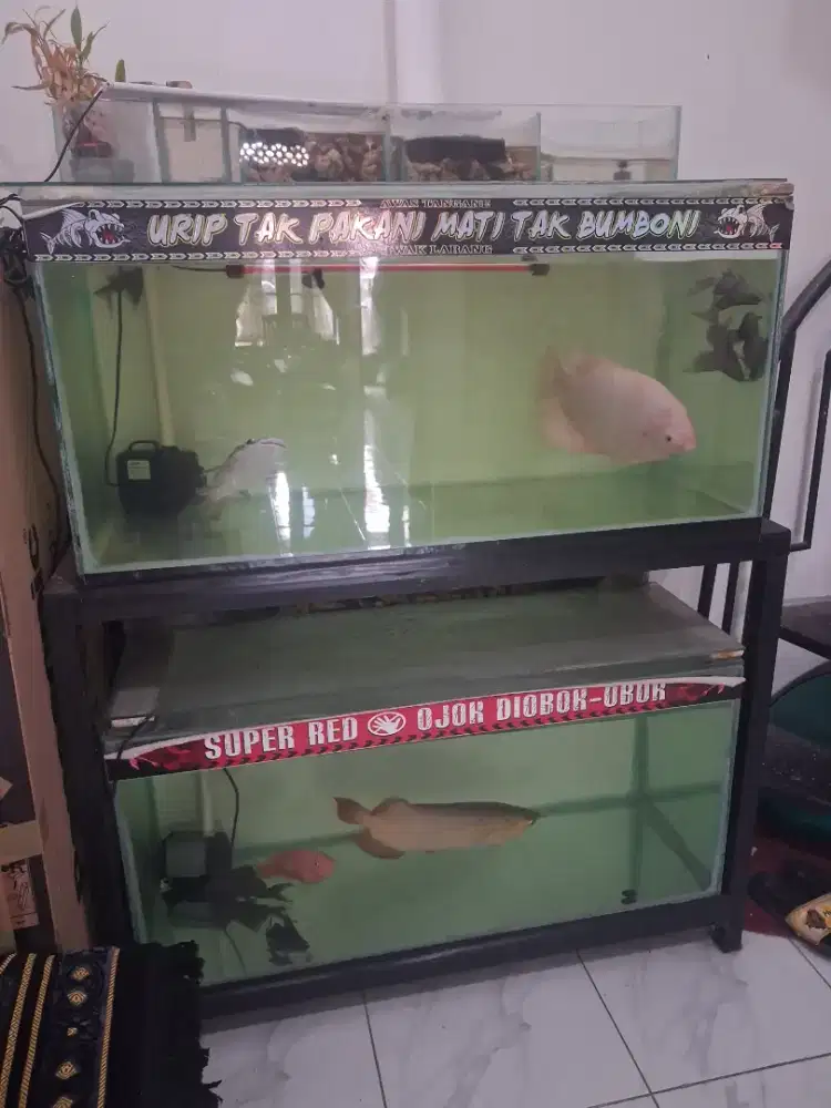 Dijual cepat aquarium full set