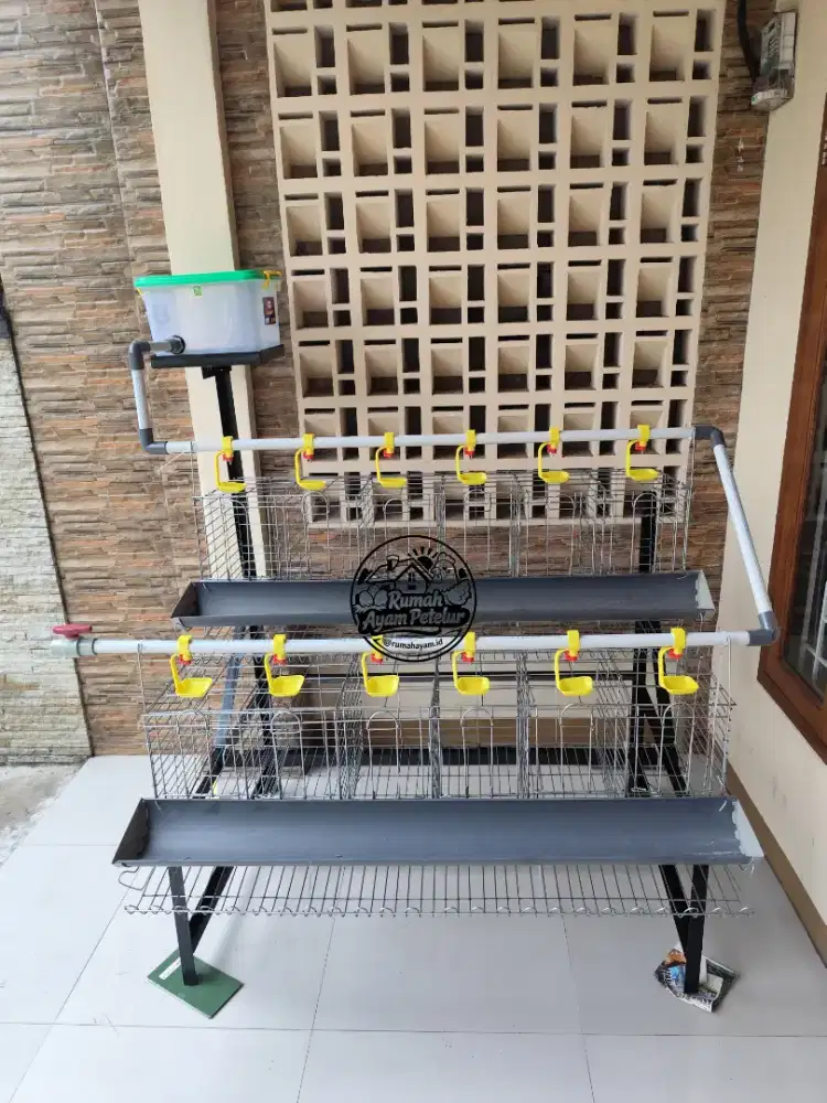 KANDANG AYAM PETELUR