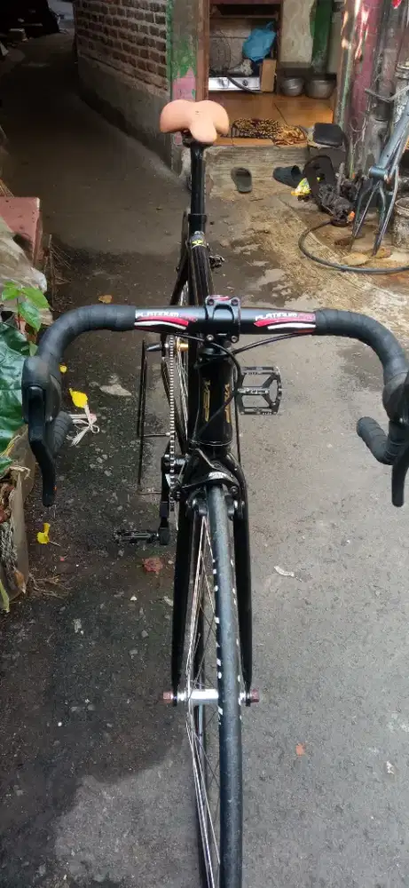 Pixie gear visp TRX 790