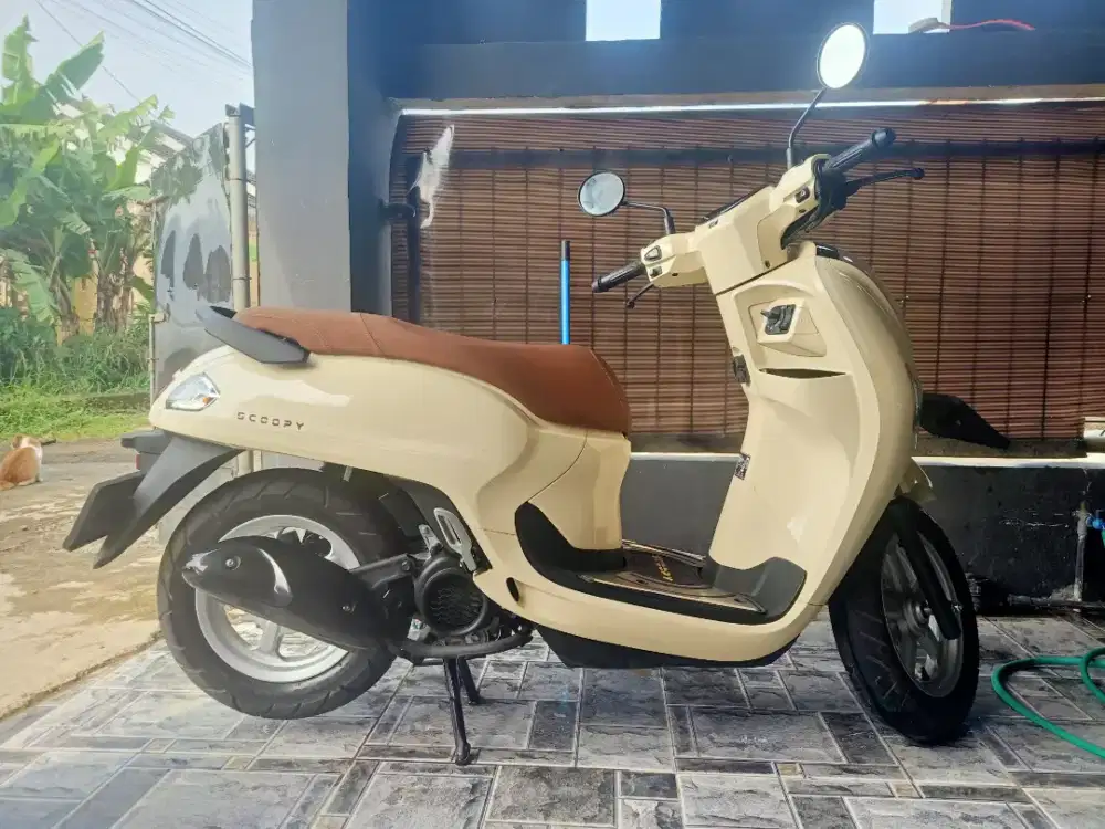 Fs Scoopy 2026 low km