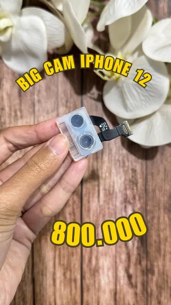 Kamera Belakang iPhone 12 / 12 Mini / 12 Pro / 12 Pro Max(29/4/26)
