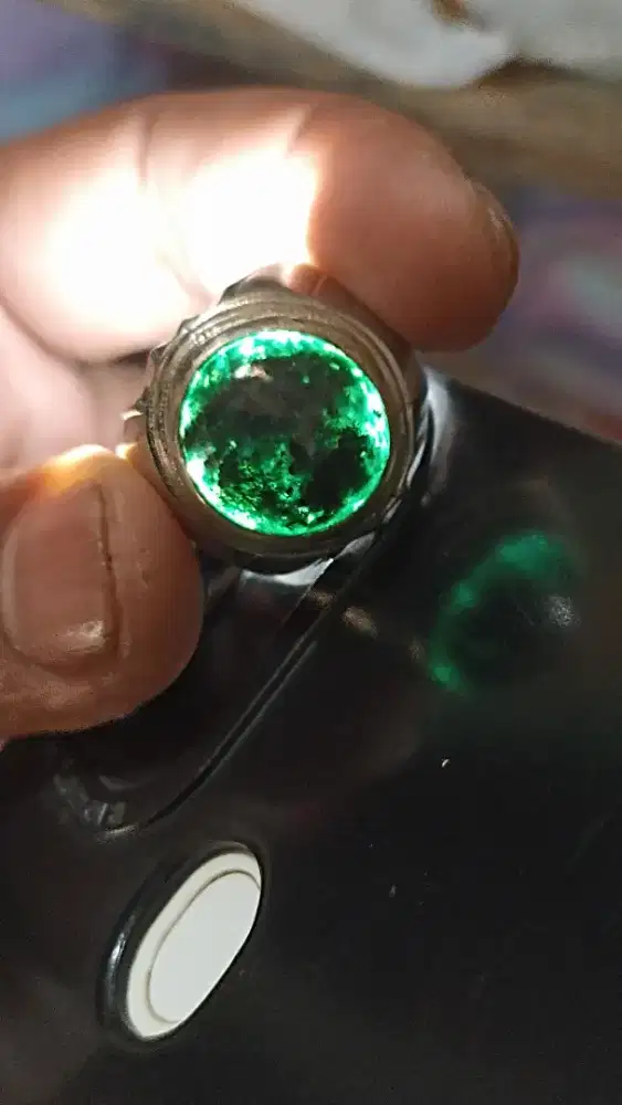 BACAN HIJAU TEMBUS SENTER