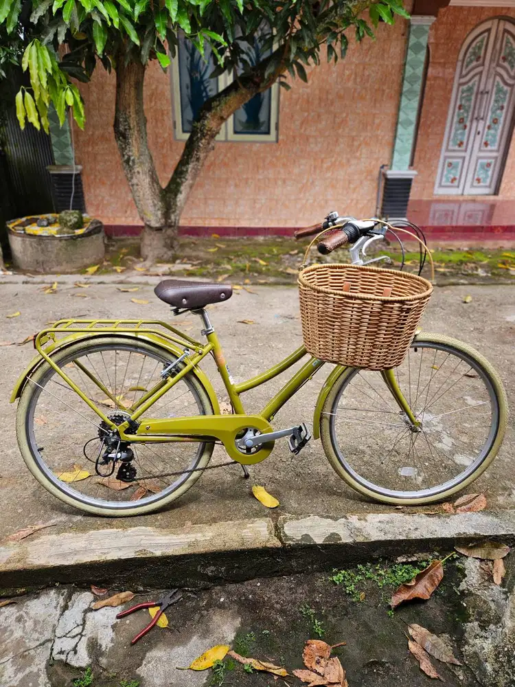 Polygon oosten 8speed uk 26 msh terlihat baru