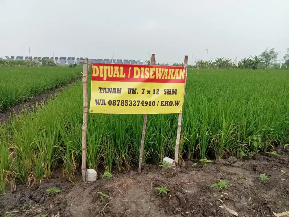 Di jual tanah kapling