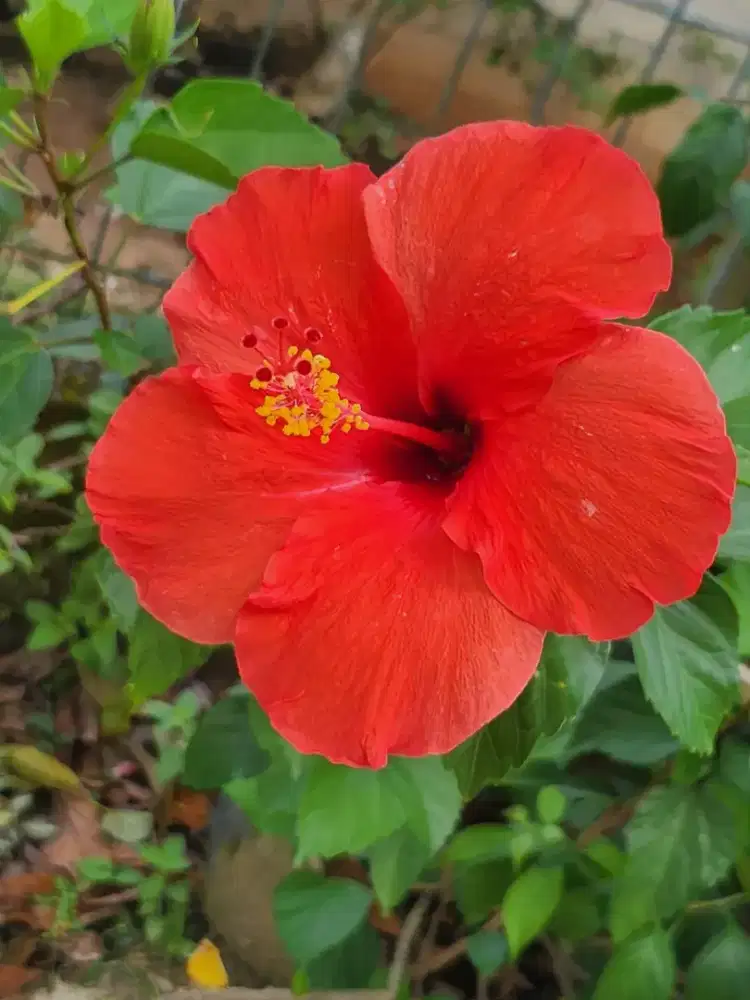 INFO LOKER SHIFT MALAM