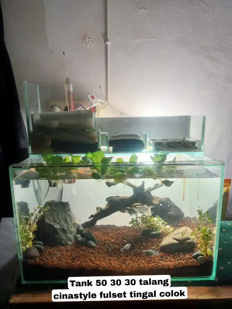 Aquarium full set tinggal colok