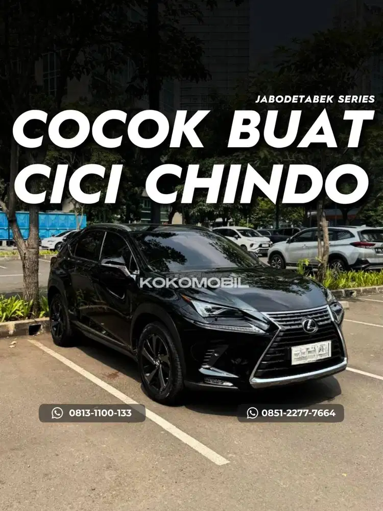 Lexus NX300 Luxury 2018