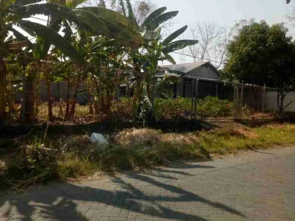 Dijual tanah 3 Kavling daerah Perumahan Alam Bukit Mas, Kebomas, Gresik