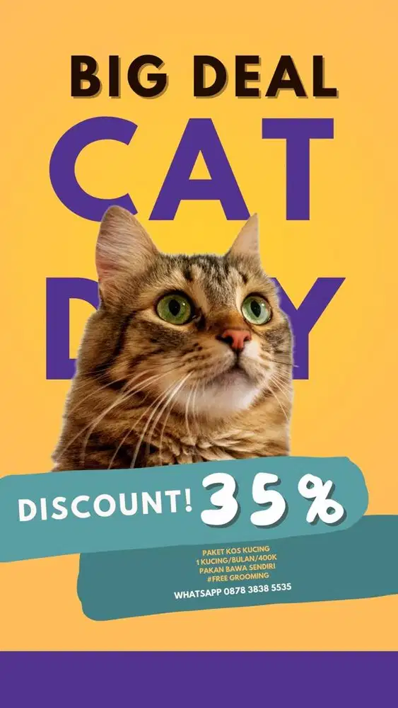 Penitipan kucing jogja, petshop jogja, grooming jogja