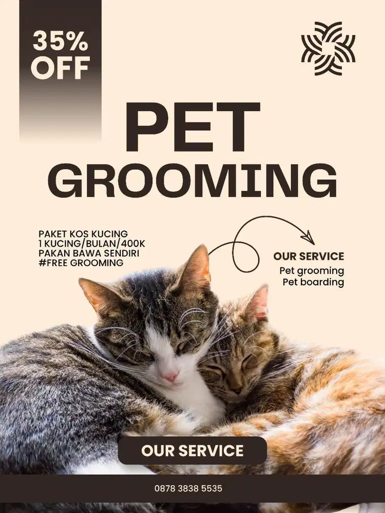 Penitipan kucing jogja, petshop jogja, grooming jogja