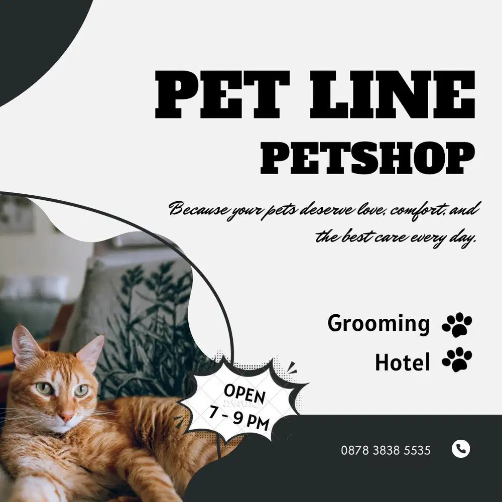 Penitipan kucing jogja, petshop jogja, grooming jogja