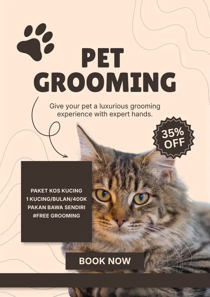 Penitipan kucing jogja, petshop jogja, grooming jogja