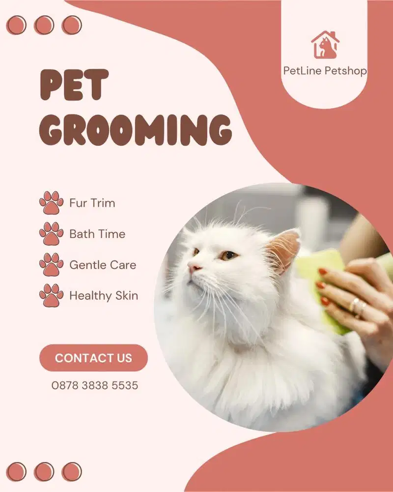 Penitipan kucing jogja, petshop jogja, grooming jogja