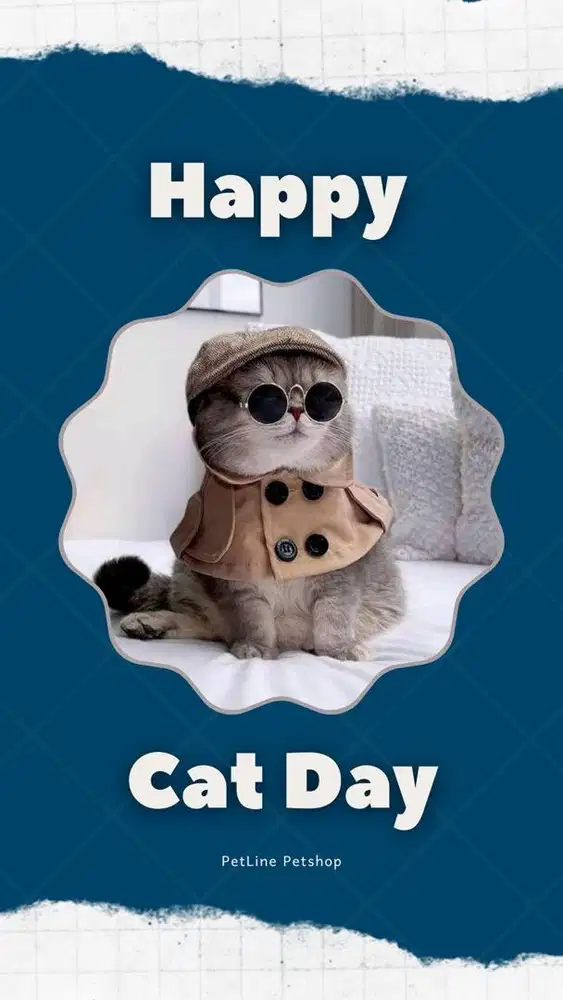 Penitipan kucing jogja, petshop jogja, grooming jogja