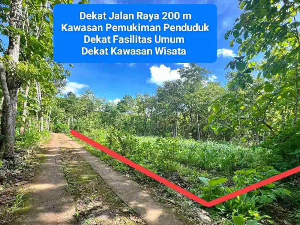 Tanah Murah Strategis Dekat Kota Wonosari Dan Kawasan Wisata Goa Pindul Gunungkidul Yogyakarta