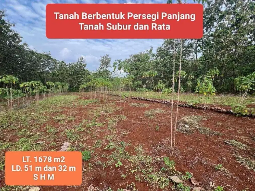 Jual tanah murah di Wiladeg Gunungkidul subur dan rata mangku 2 jalan