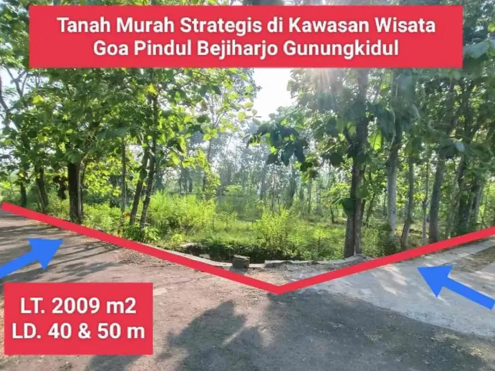 Jual tanah murah pekarangan pinggir jalan subur di kawasan wisata Bejiharjo Gunung Kidul hanya 130 rb permeter