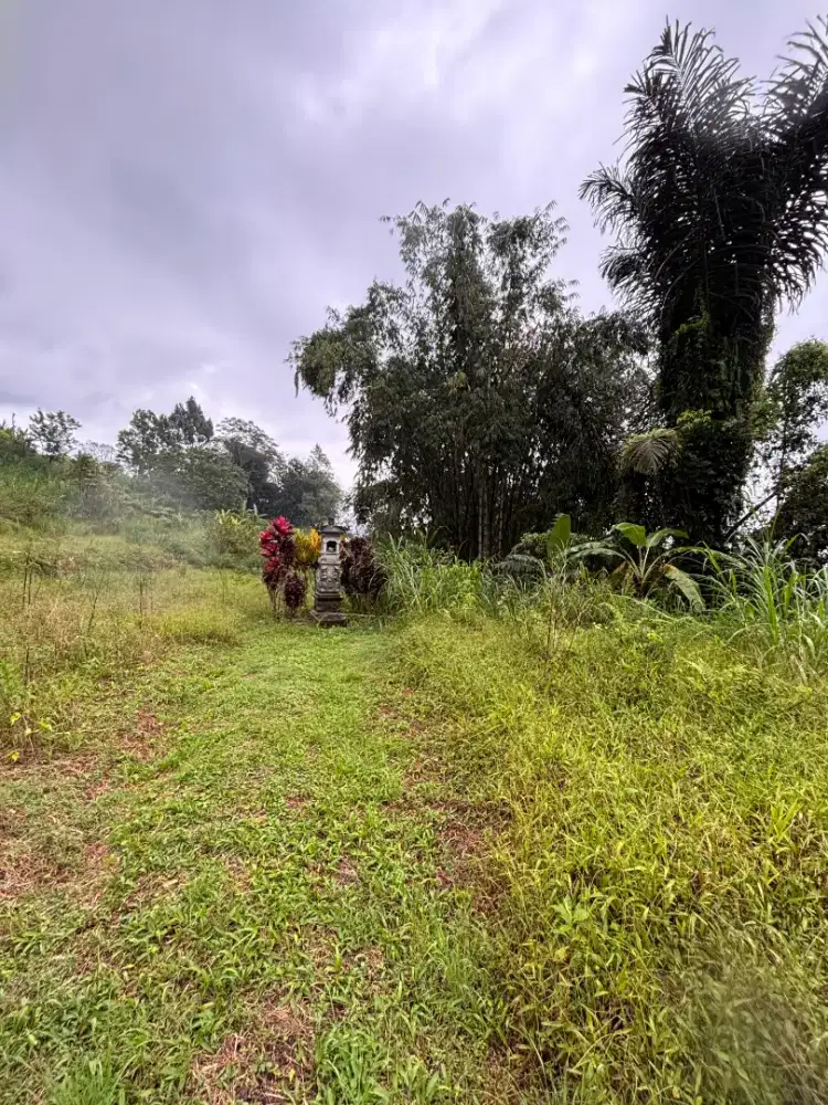 Tanah Murah di Baturiti