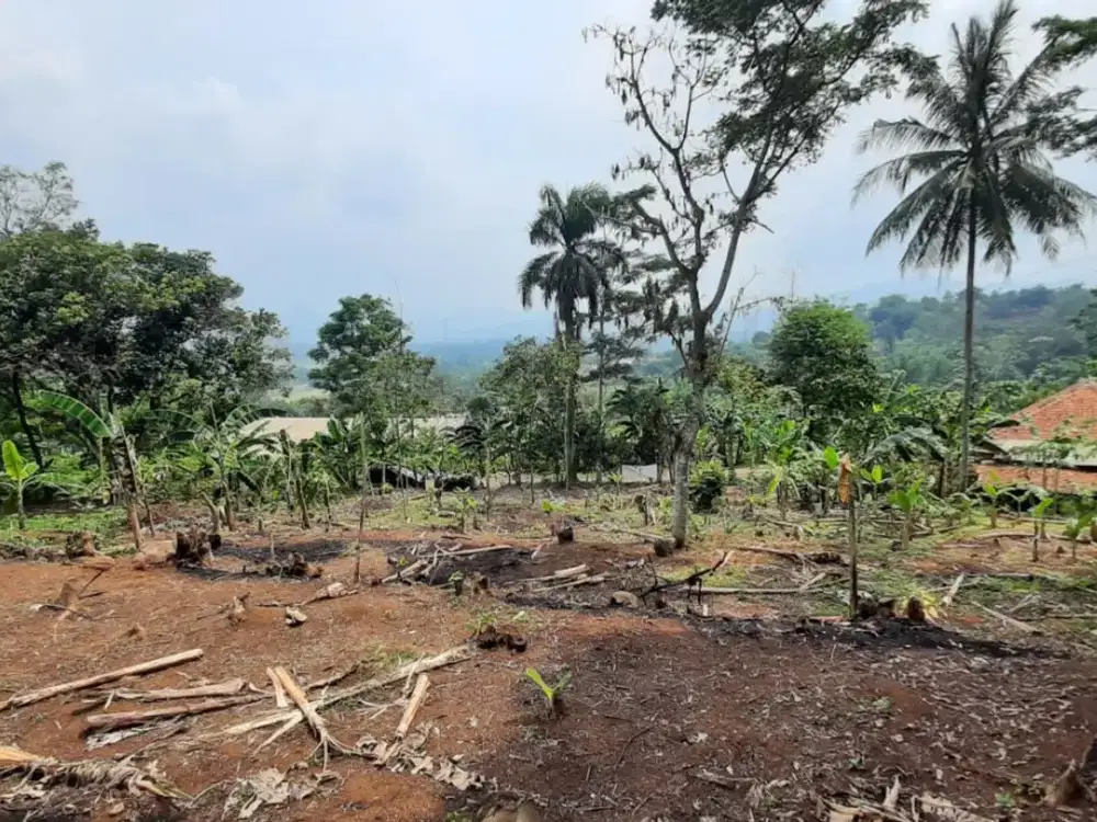 Dijual Tanah Luas 2.670 m2 Cocok Untuk Villa Jalan Jonggol Cariu Bogor