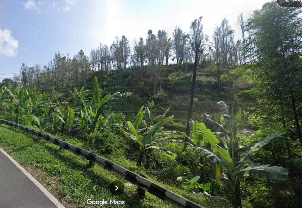 BU, Tanah SHM , Ds Gambuhan, Jl. Moga - Guci Km.7. Pemalang