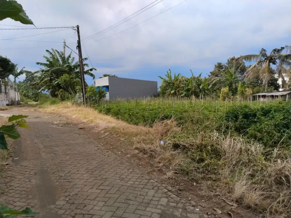 Tanah Siap Balik Nama Kota Malang, 7 Menit Kampus UB, UMM, UIN