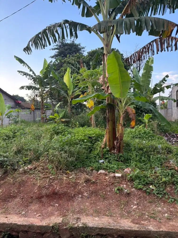 jual tanah 350m cisauk girang