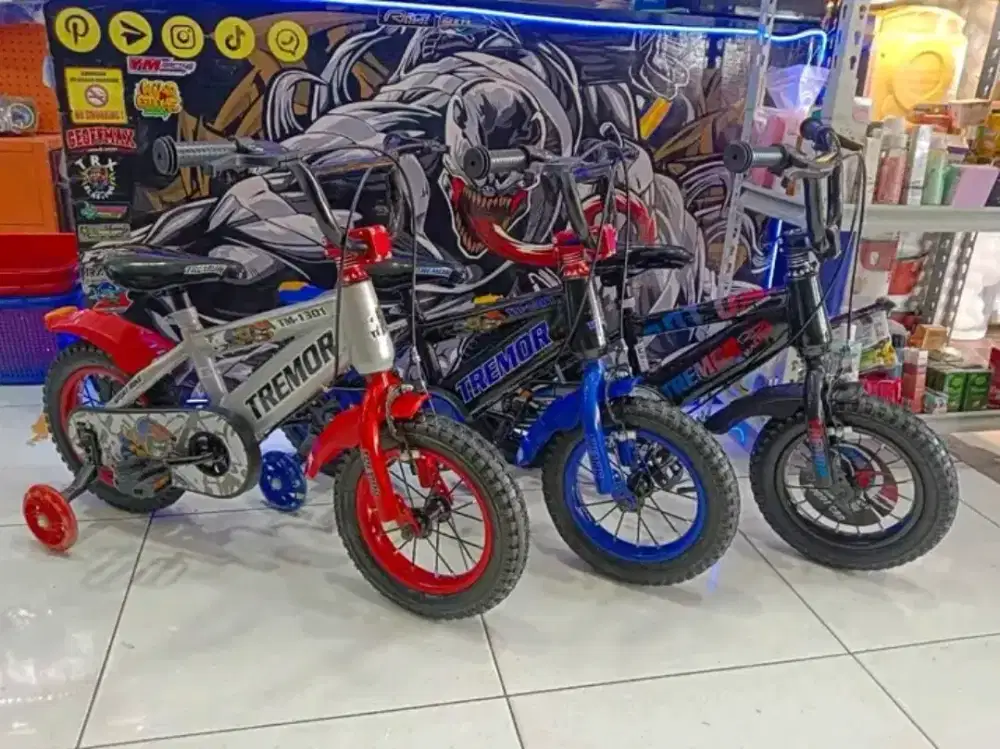 Kurir +bongkar pasang spedah