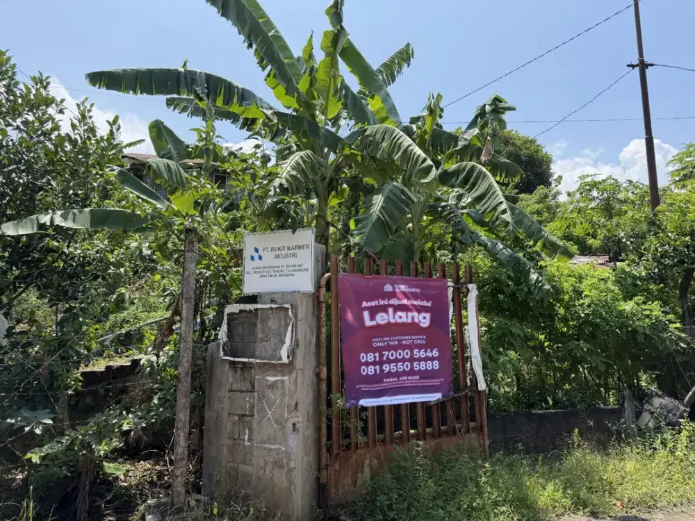 Tanah Strategis dan Luas di Kawasan Besuki, Tulungagung dekat dengan Pasar Desa Besole