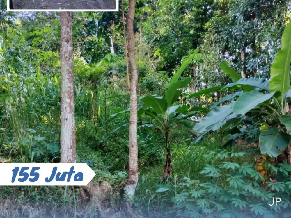 Dijual Tanah Lokasi Matesih Karanganyar