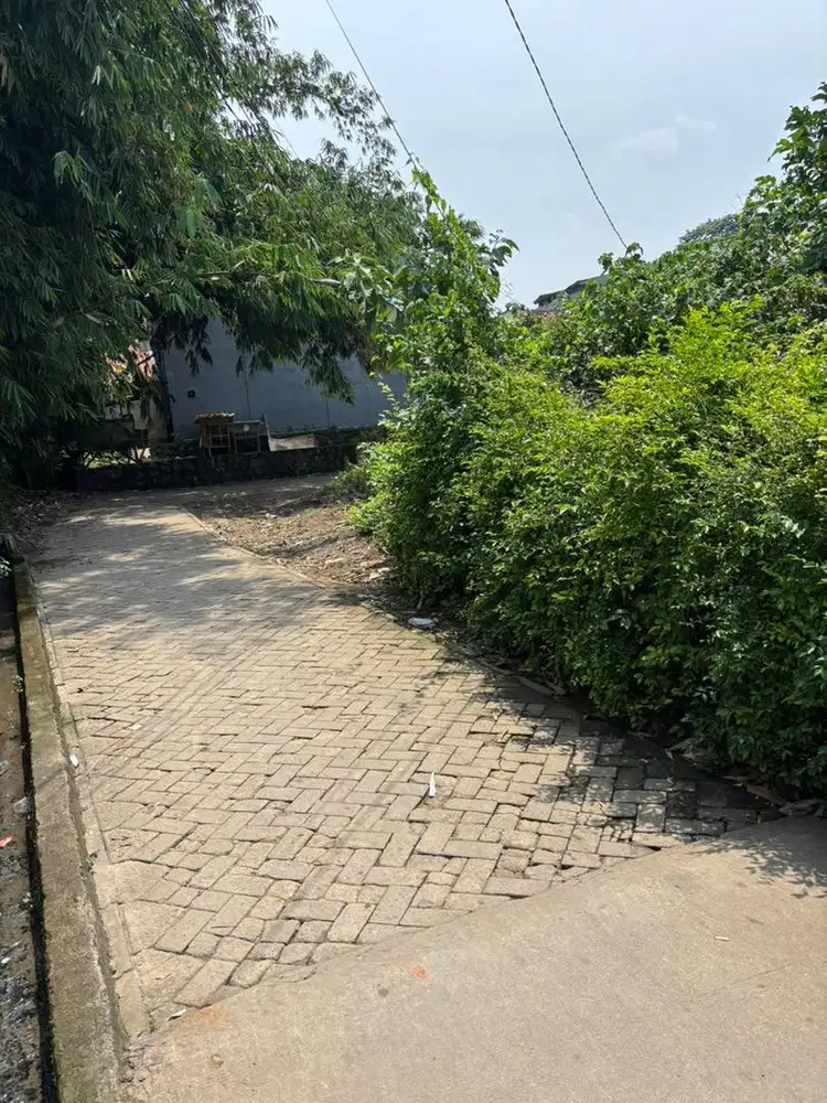 jual tanah 50m cibogo cisauk