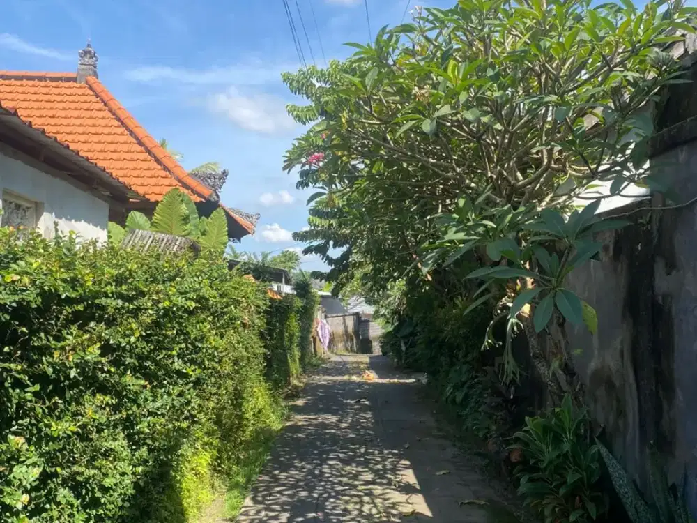 Di jual tanah Lokasi di celuk batubulan gianyar bali dekat patung barong