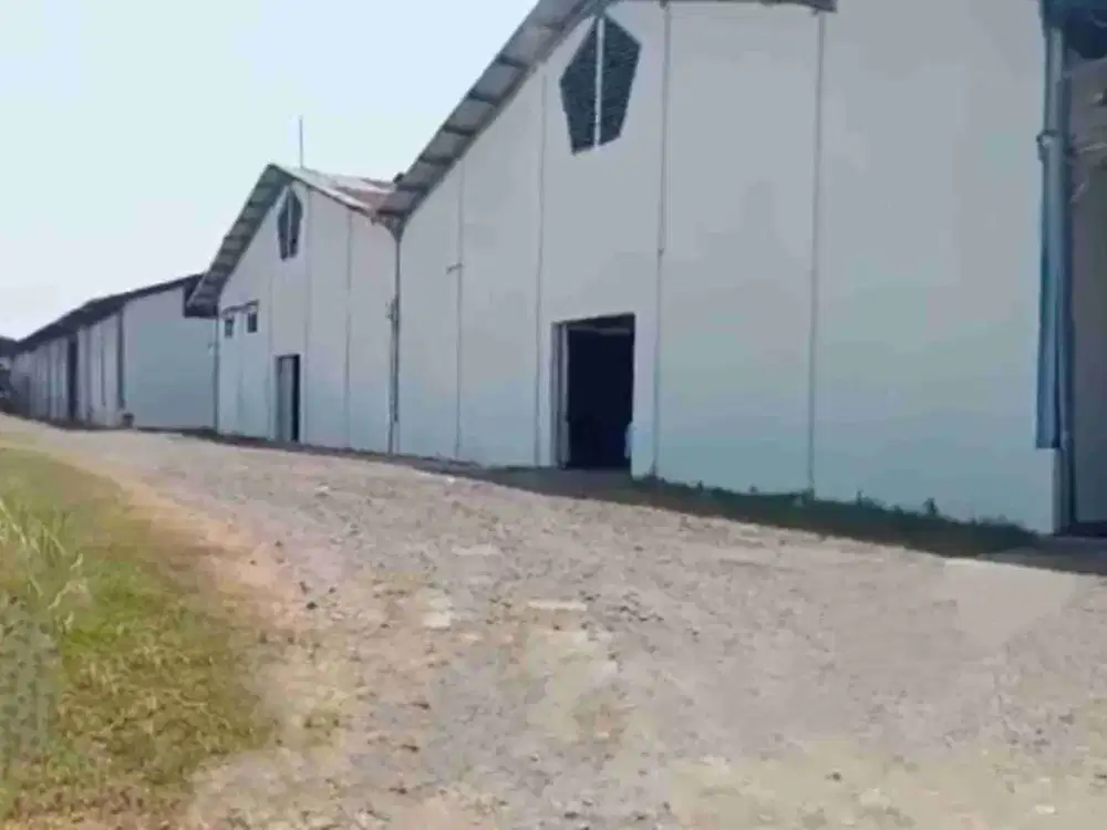 Pabrik di Gunung Gangsir Beji Pasuruan