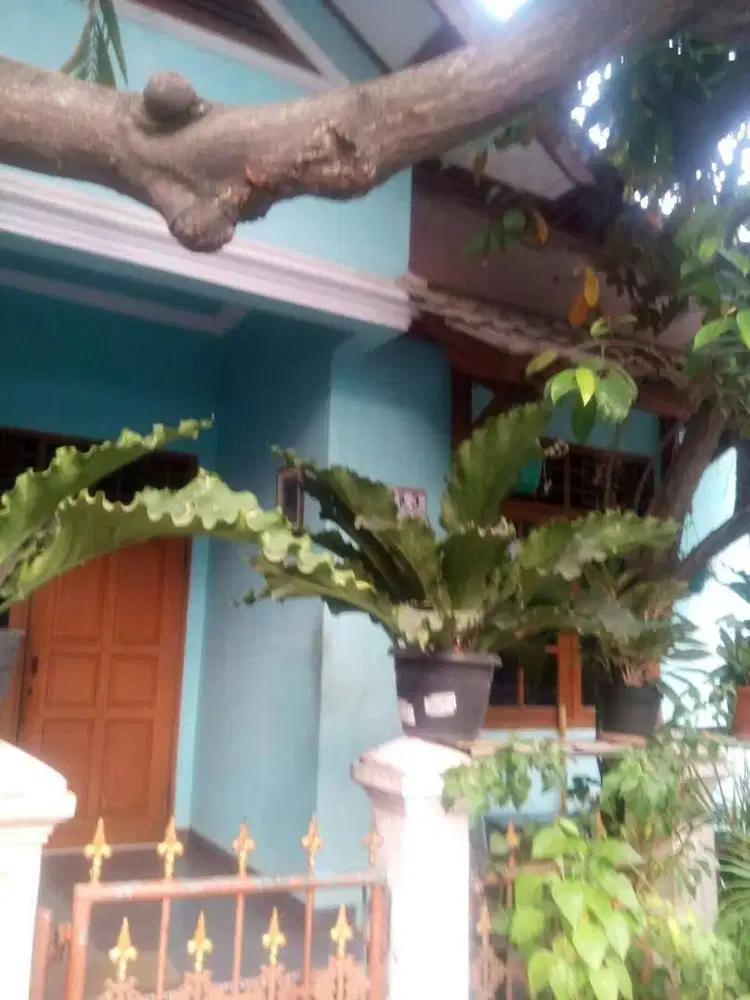 ART momong (jaga anak)