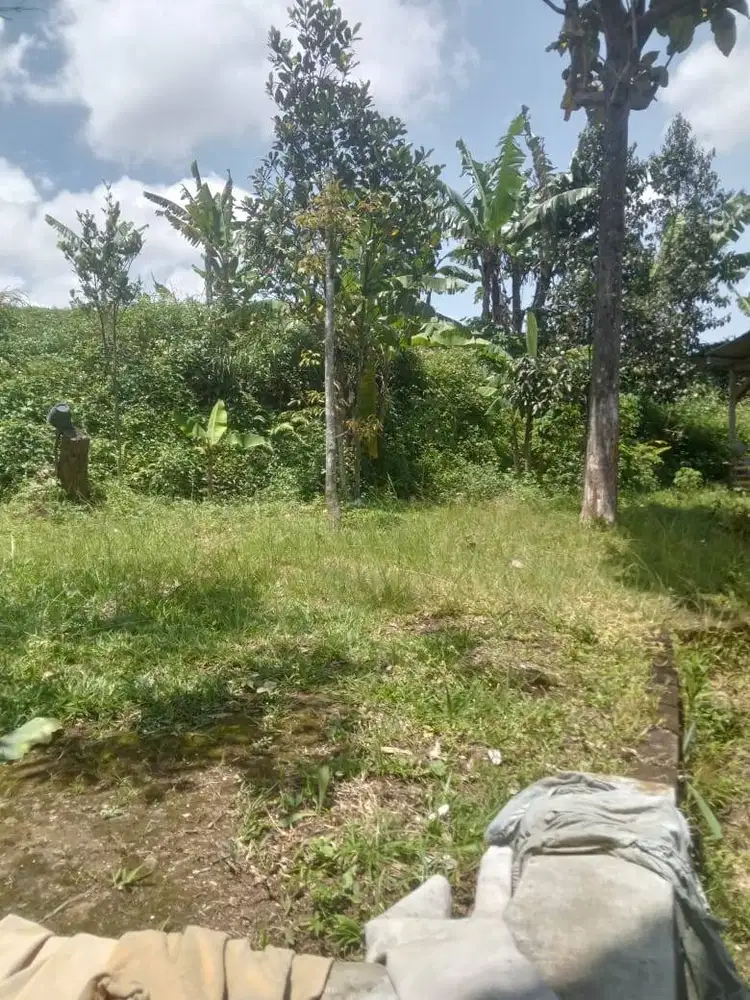 Dijual Segera Tanah Bonus Rumah Balong Masuk Gang Cipageran Cimahi