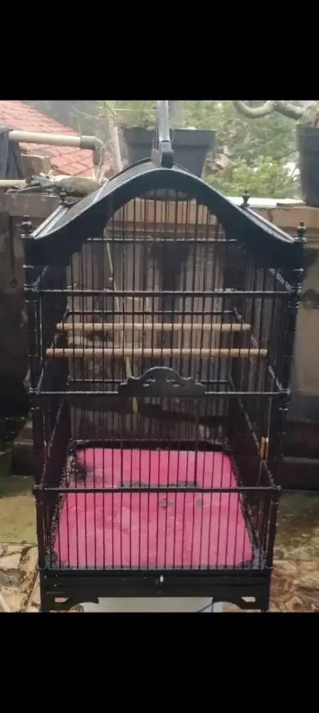 Kandang lawas lama  no 1 msh bagus
