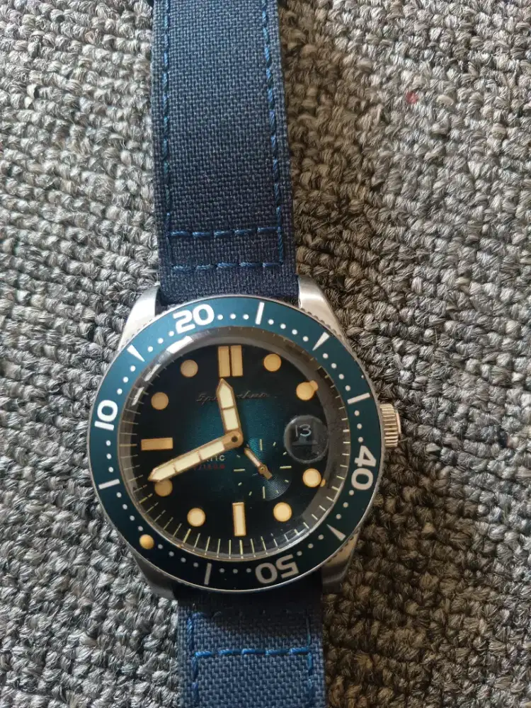 Spinnaker mulus normal