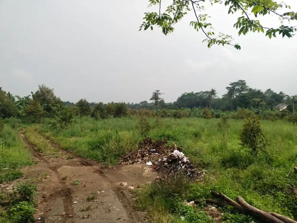 Dijual Tanah 70.000 M2 SHM Desa Singajaya Jonggol