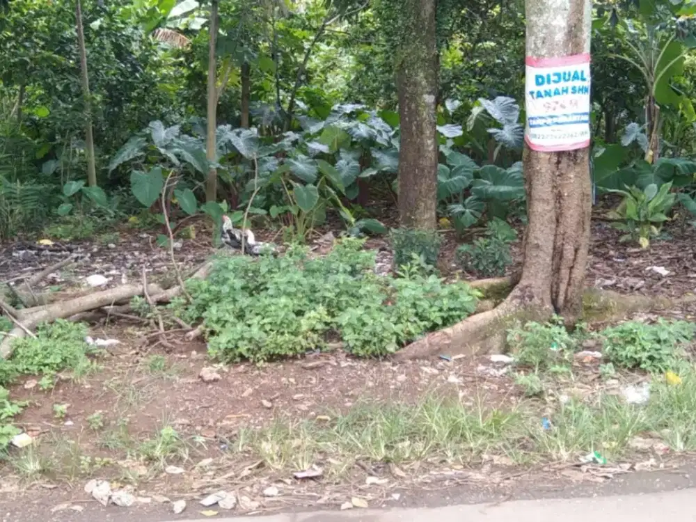 Tanah 15 mnt Stasiun Bojong Gede Free SHM