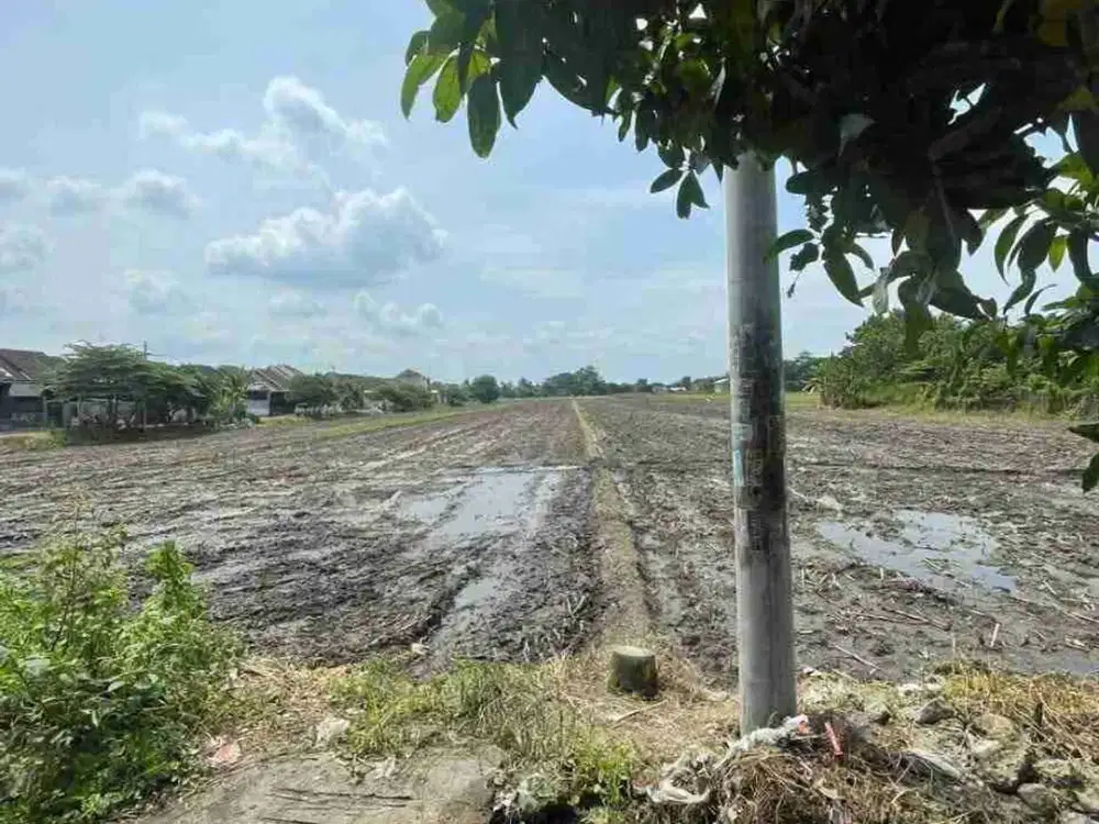 jual murah tanah bagus untuk pabrik ,gudang dll