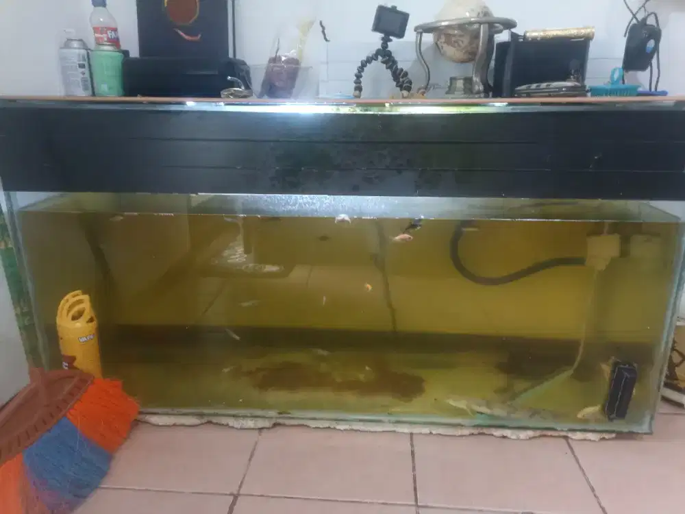 aquarium 120 x 40x60 beserta isinya dan filternya